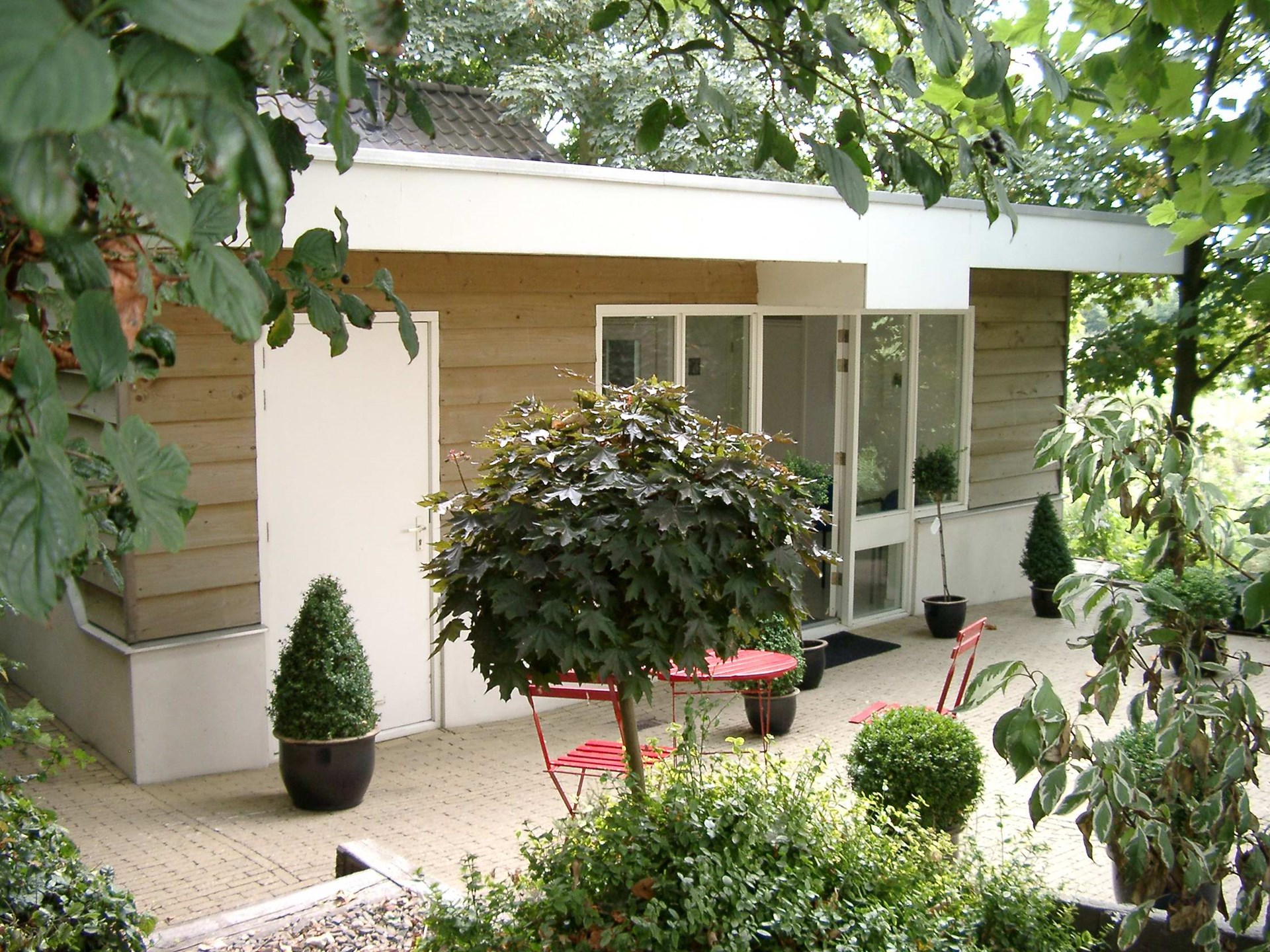 Kattenpension Stadse Dijk